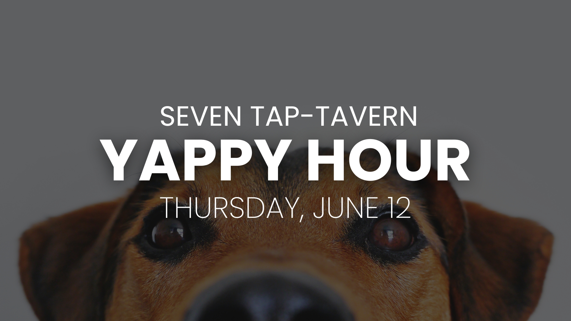 Yappy Hour