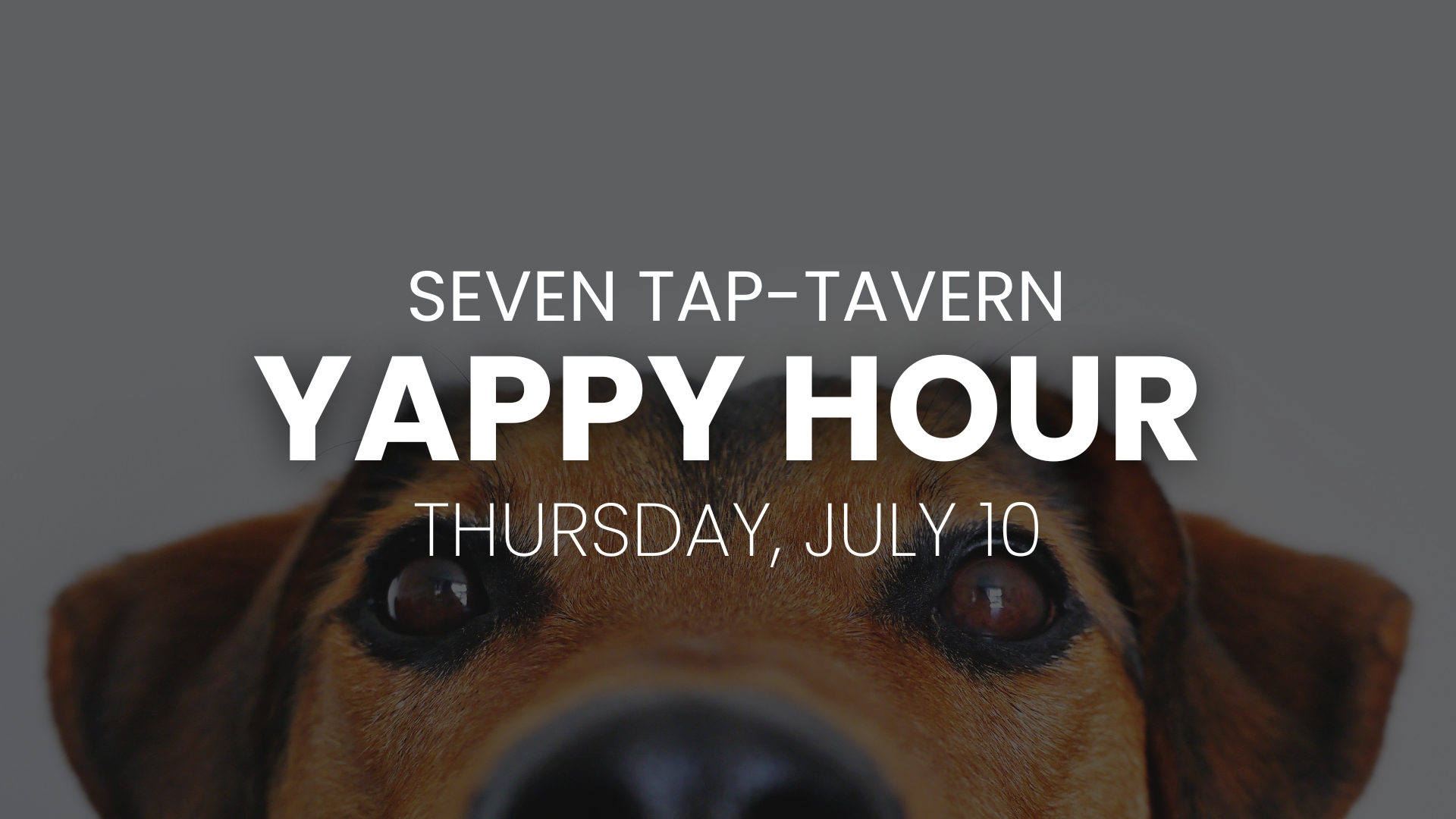 Yappy Hour