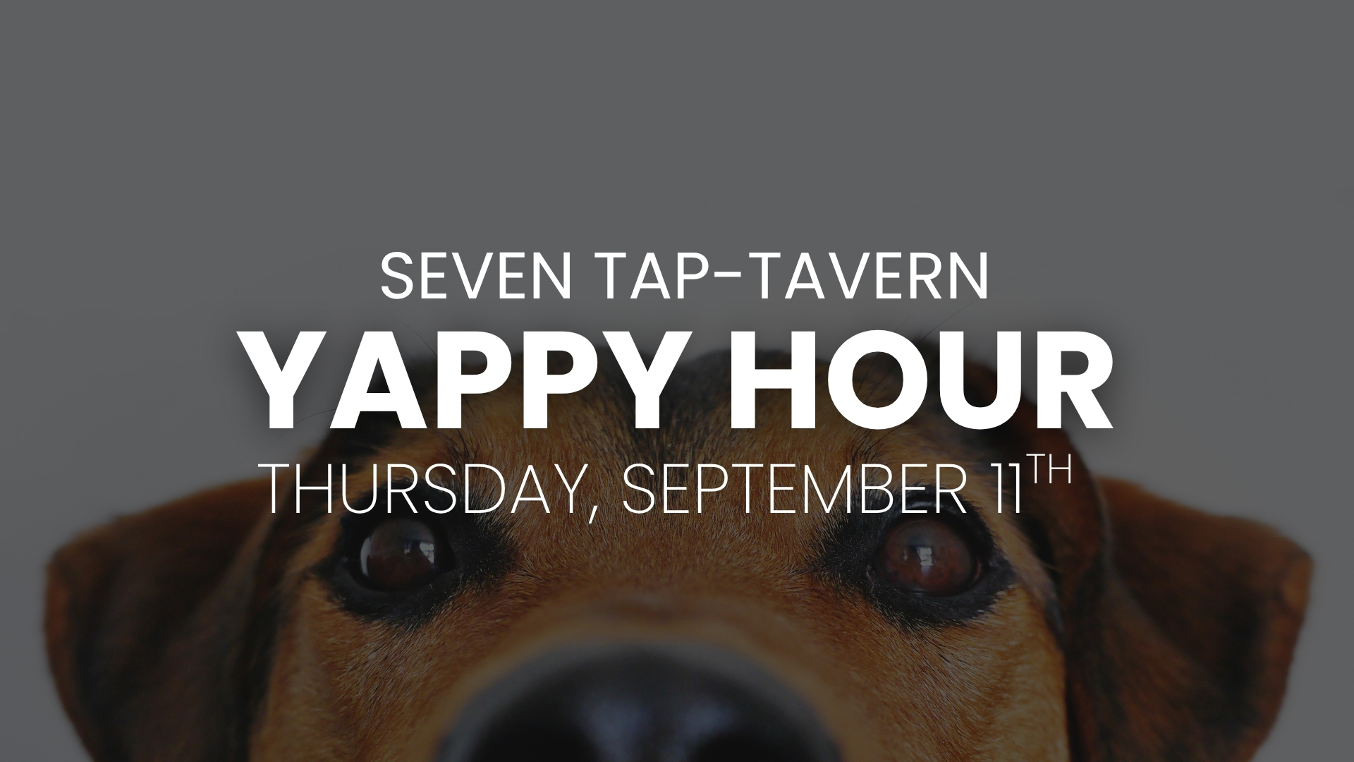 Yappy Hour